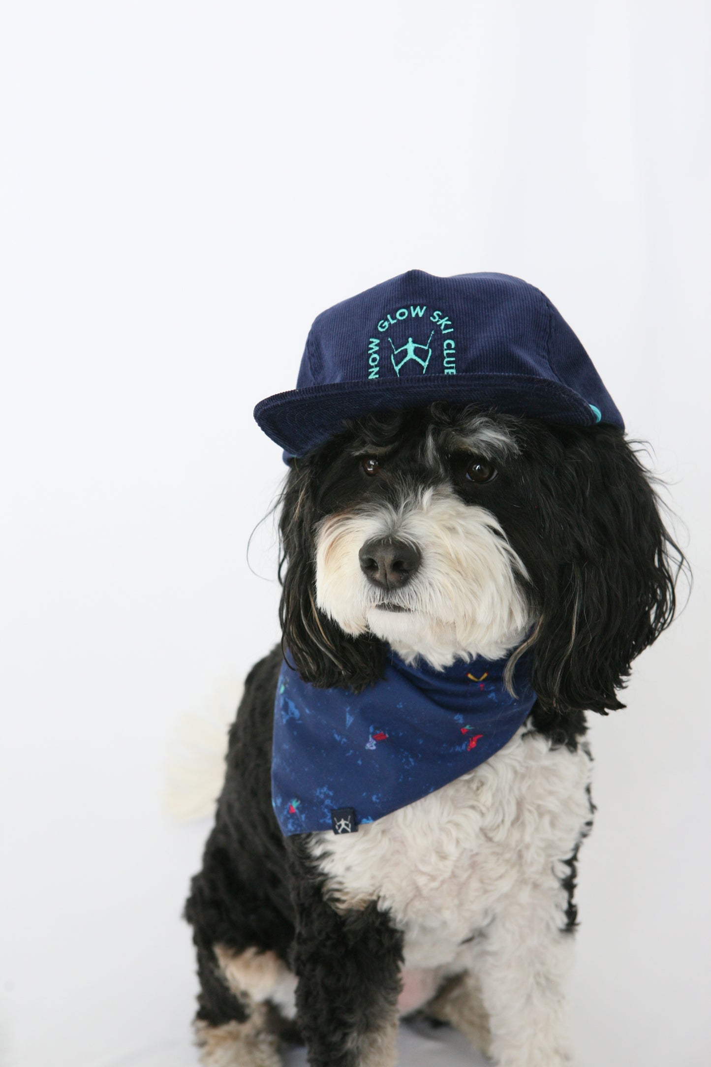 SKI CLUB CORDUROY HAT - Navy