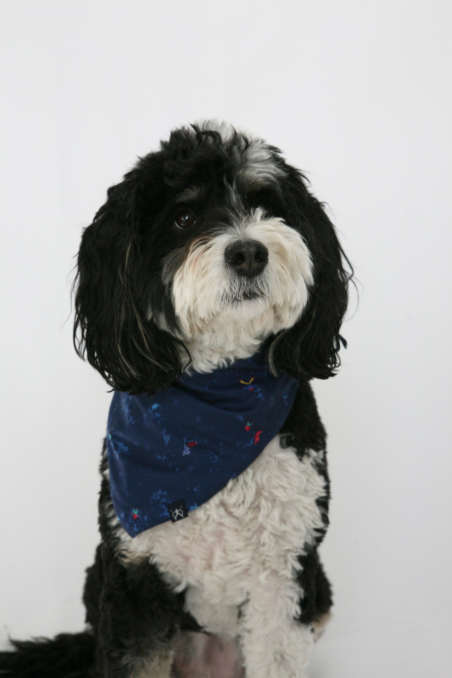 DOG BANDANA - Powder Print